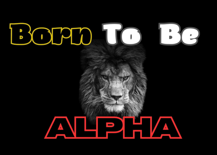 [GRATIS] Born to be Alpha di King Seduction