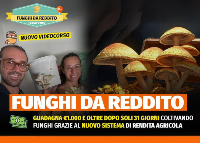 [GRATIS] Funghi da Reddito di Rendita Agricola