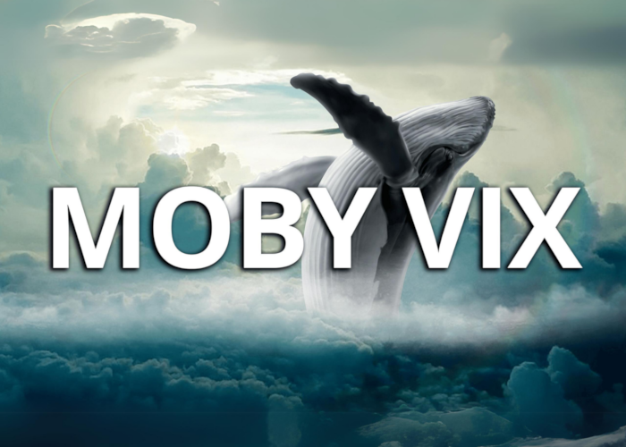[GRATIS] Moby VIX di BuzWay (Francesco Buzzi)