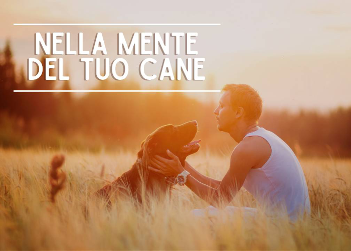 [GRATIS] Nella Mente del tuo Cane di Educazione Cinofila