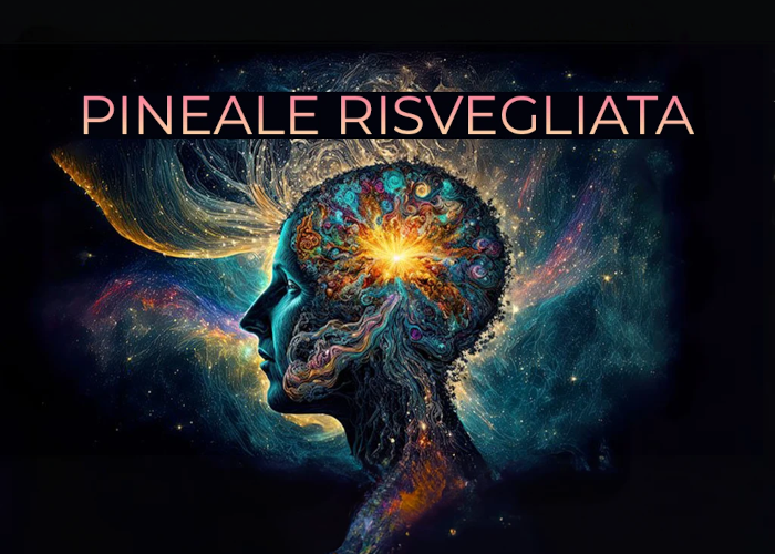 [GRATIS] Pineale Risvegliata di Missione Benessere (LDL)