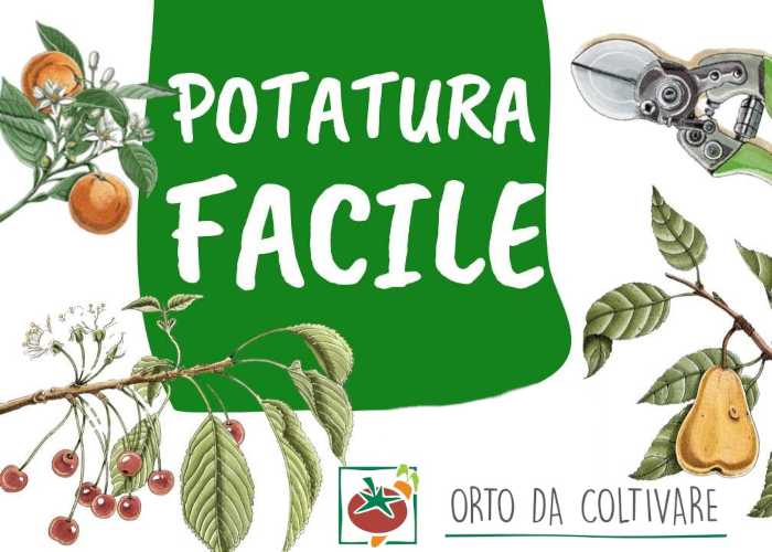 [GRATIS] Potatura Facile di Orto da Coltivare
