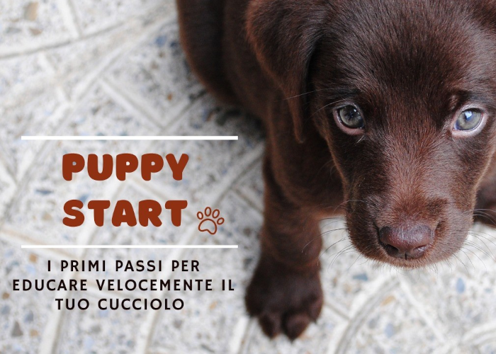 [GRATIS] Puppy Start di Educazione Cinofila