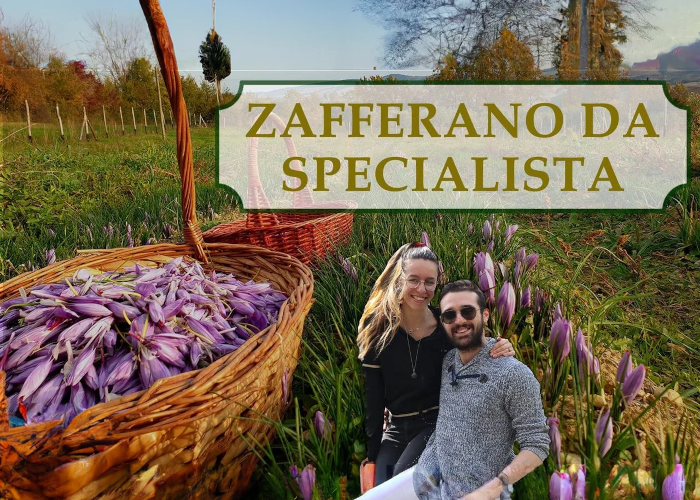 [GRATIS] Zafferano Da Specialista di Rendita Agricola