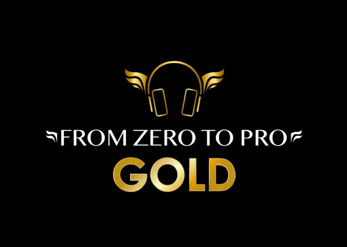 [GRATIS] From Zero to Pro di Icona Boi Music Teaching