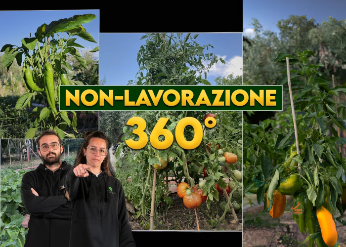 [GRATIS] Orto Eterno: Non Lavorazione 360° di Rendita Agricola