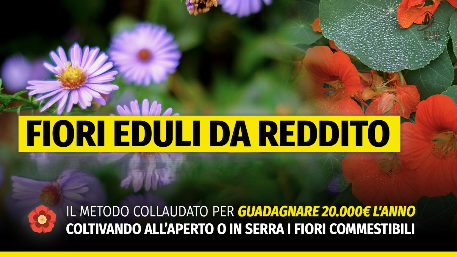[GRATIS] Fiori Eduli da reddito MASTER di Rendita Agricola