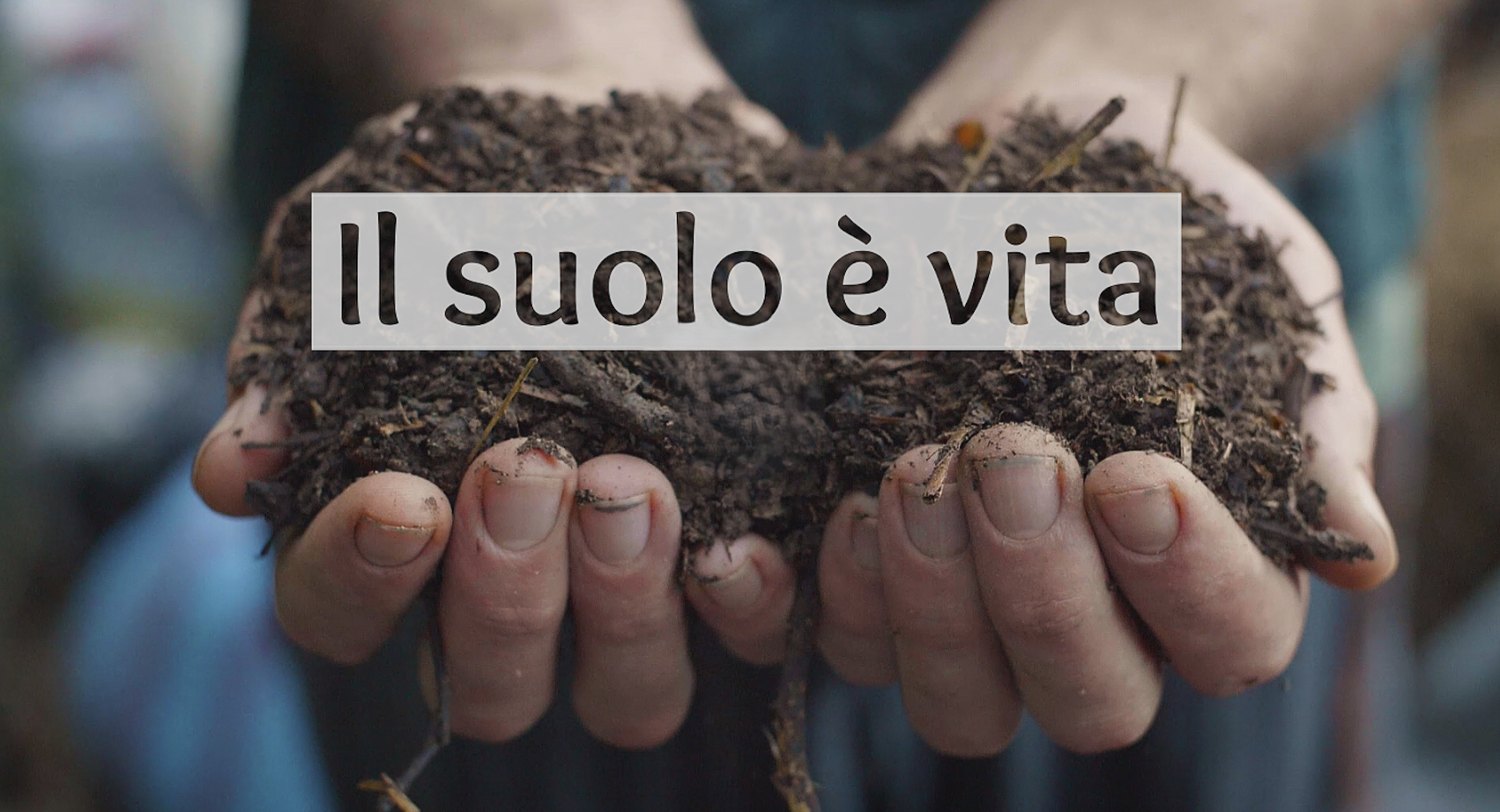 [GRATIS] Il Suolo è Vita di Bosco di Ogigia